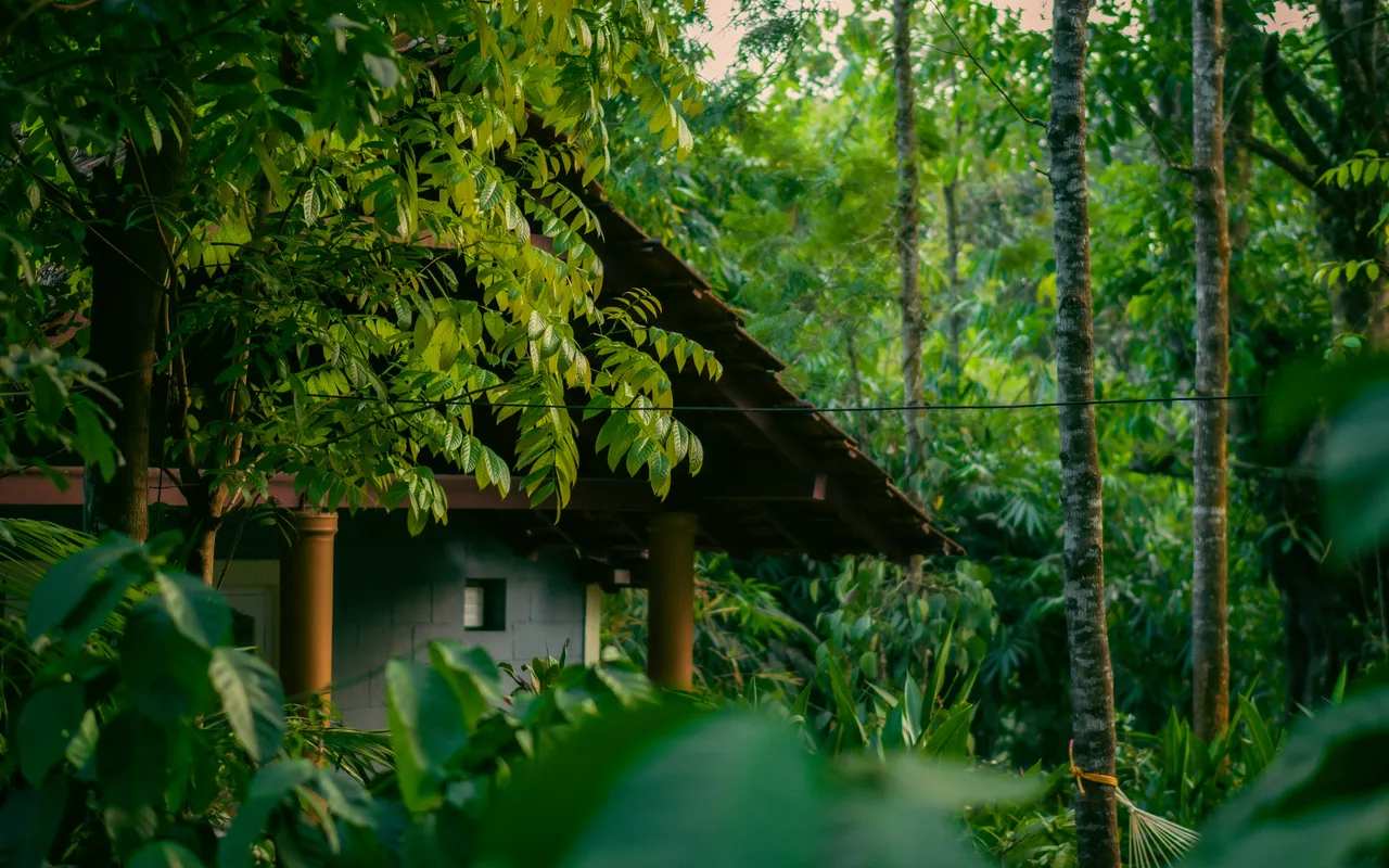 Center Parcs en France vaut-il vraiment le détour pour vos vacances en famille ? — Center Parcs n'est pas qu'un parc aquatique dans les bois